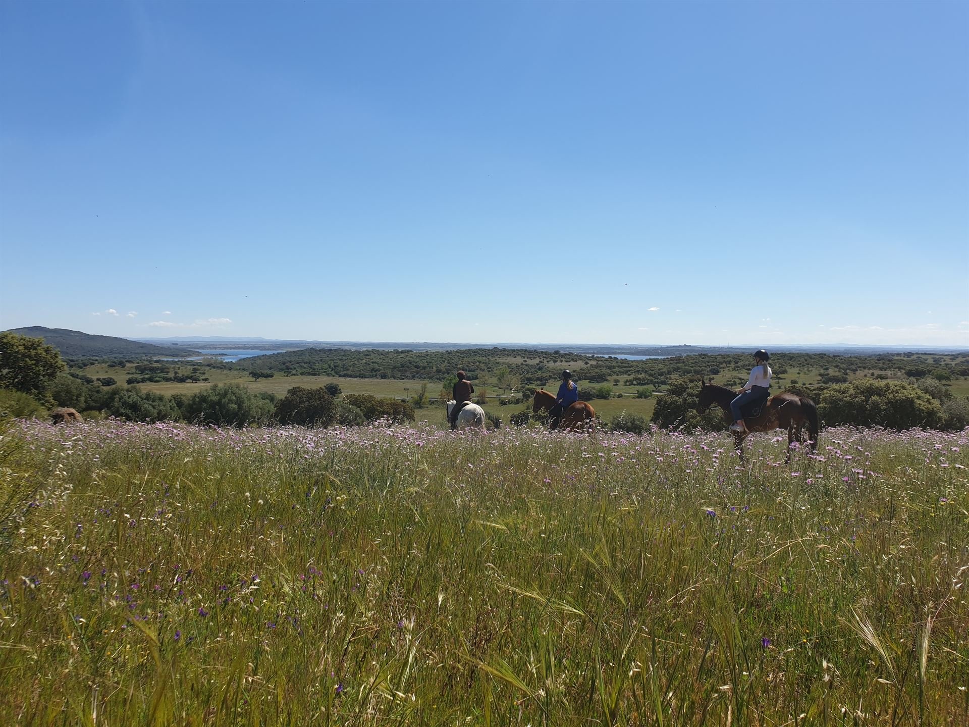  Reiten mit Blick auf den Alqueva-Stausee 