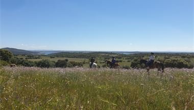  Reiten mit Blick auf den Alqueva-Stausee 