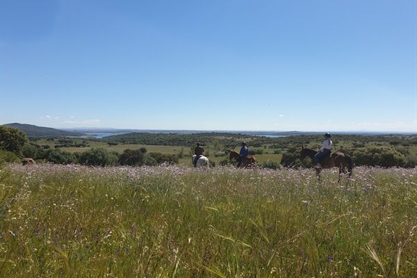  Reiten mit Blick auf den Alqueva-Stausee 