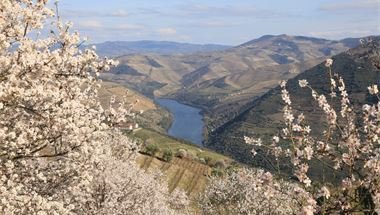 Frühling im Douro-Tal