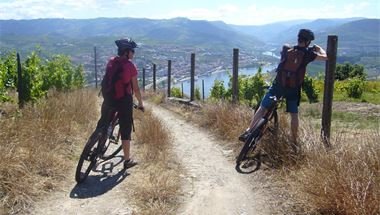 Aussicht auf Peso de Regua