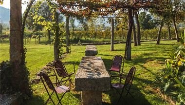im Garten einer unserer Wein-Quintas