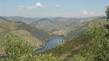 Blick auf den Douro