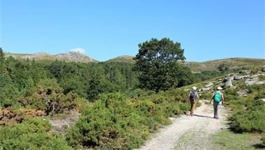 Wandern in den Bergen