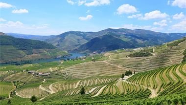 Douro-Tal