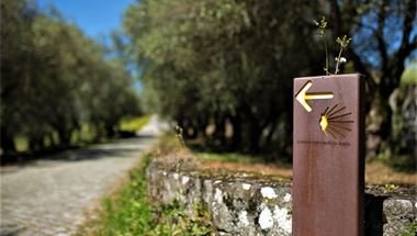 Coastal Camino - PGW (2)