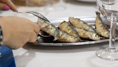 Coastal Camino - PGW (19)