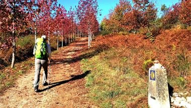 Portuguese Camino - PGW (20)