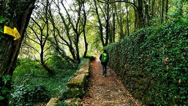 Portuguese Camino - PGW (21)